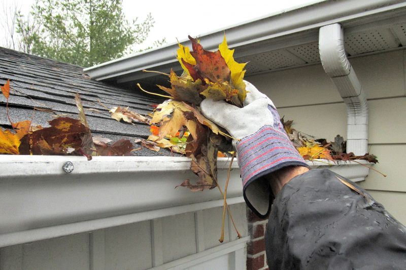 Rain Gutter Clearing in Longmont, CO